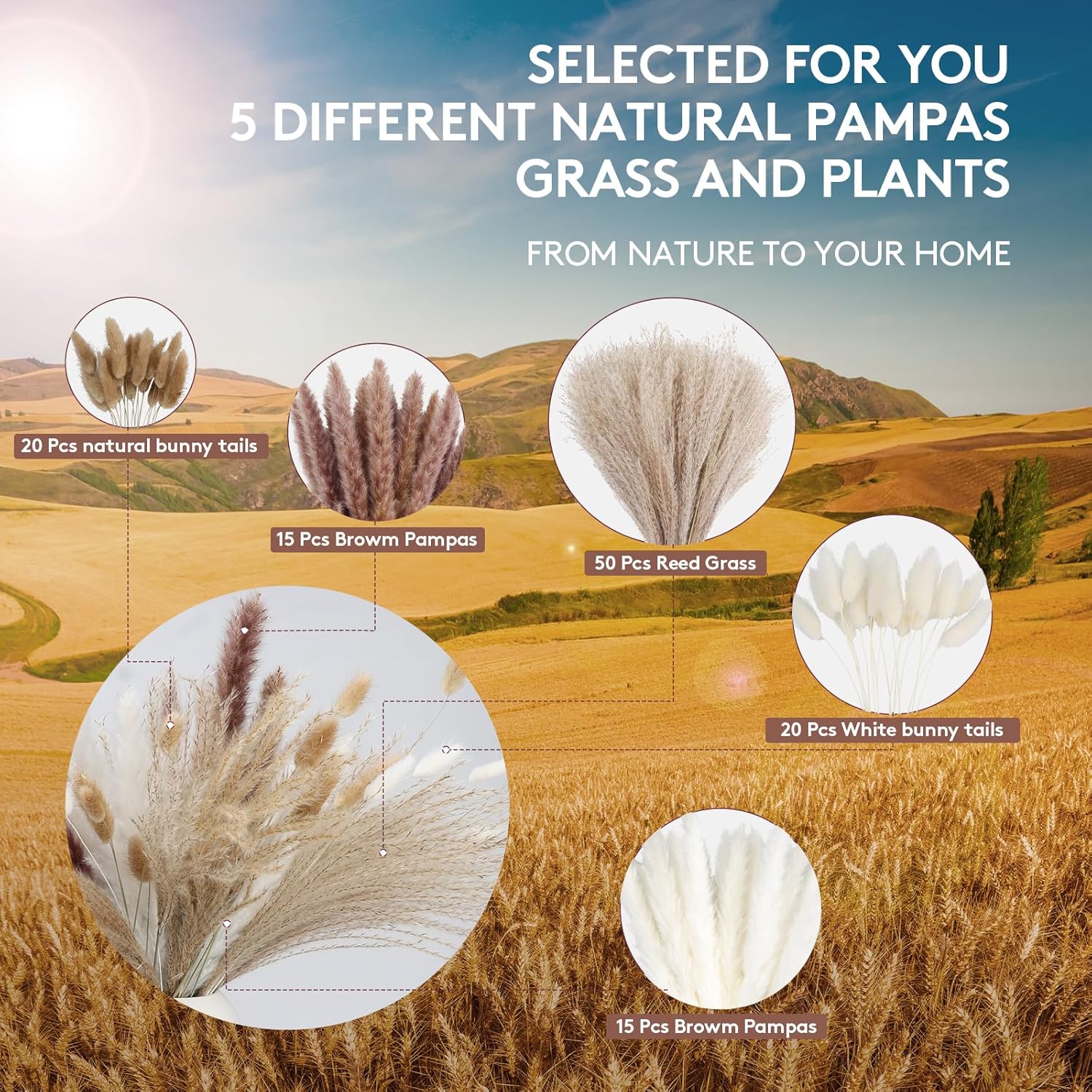 120PCS Dried Pampas Grass Decor – Bunny Tail Grass, White & Brown Reed Plumes, Tall Fluffy Boho Vase Filler for Rustic Wedding, Japandi Home, Shelf & Centerpiece Styling Festival Decor