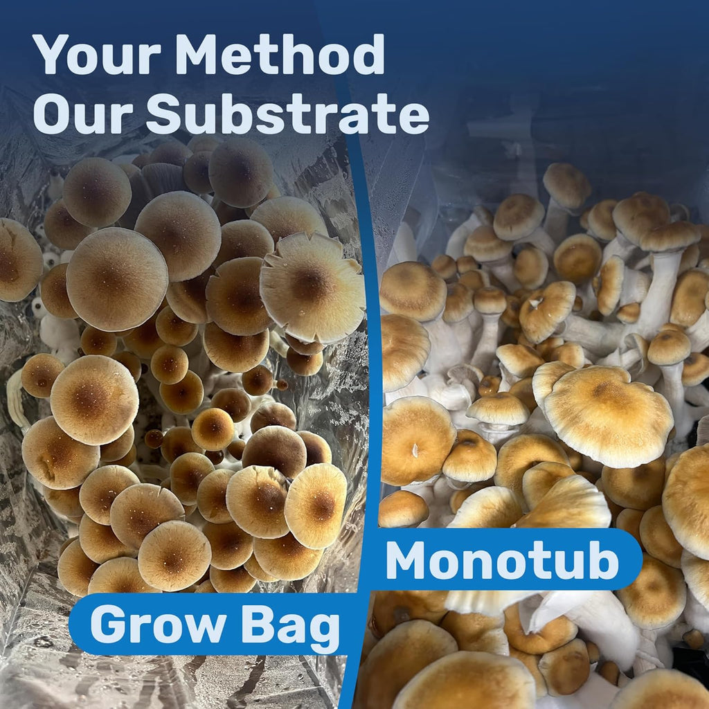 Surfin' Spores Premium Bulk Mushroom Substrate - 10 lbs Expert Mycologist Blend of Coco Coir, Vermiculite & Gypsum, Pasteurized & Odor-Free, Long Shelf-Life, Ideal for Monotub Cultivation