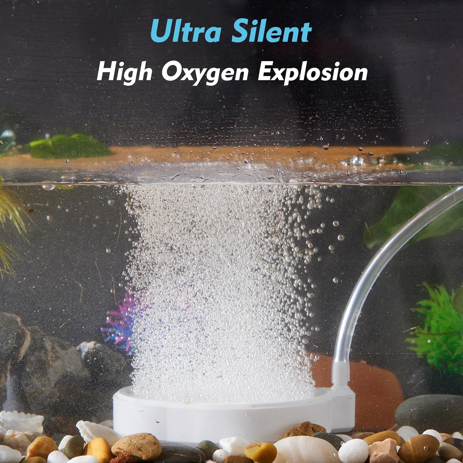 Rise Torrent Nano Air Stone with Case, Silent High-Oxygen Diffuser for Aquarium, Fish Tank & Hydroponics - 3.9 Inch White Small Bubble Diffuser Accessories (No Air Pump and Air Tube)