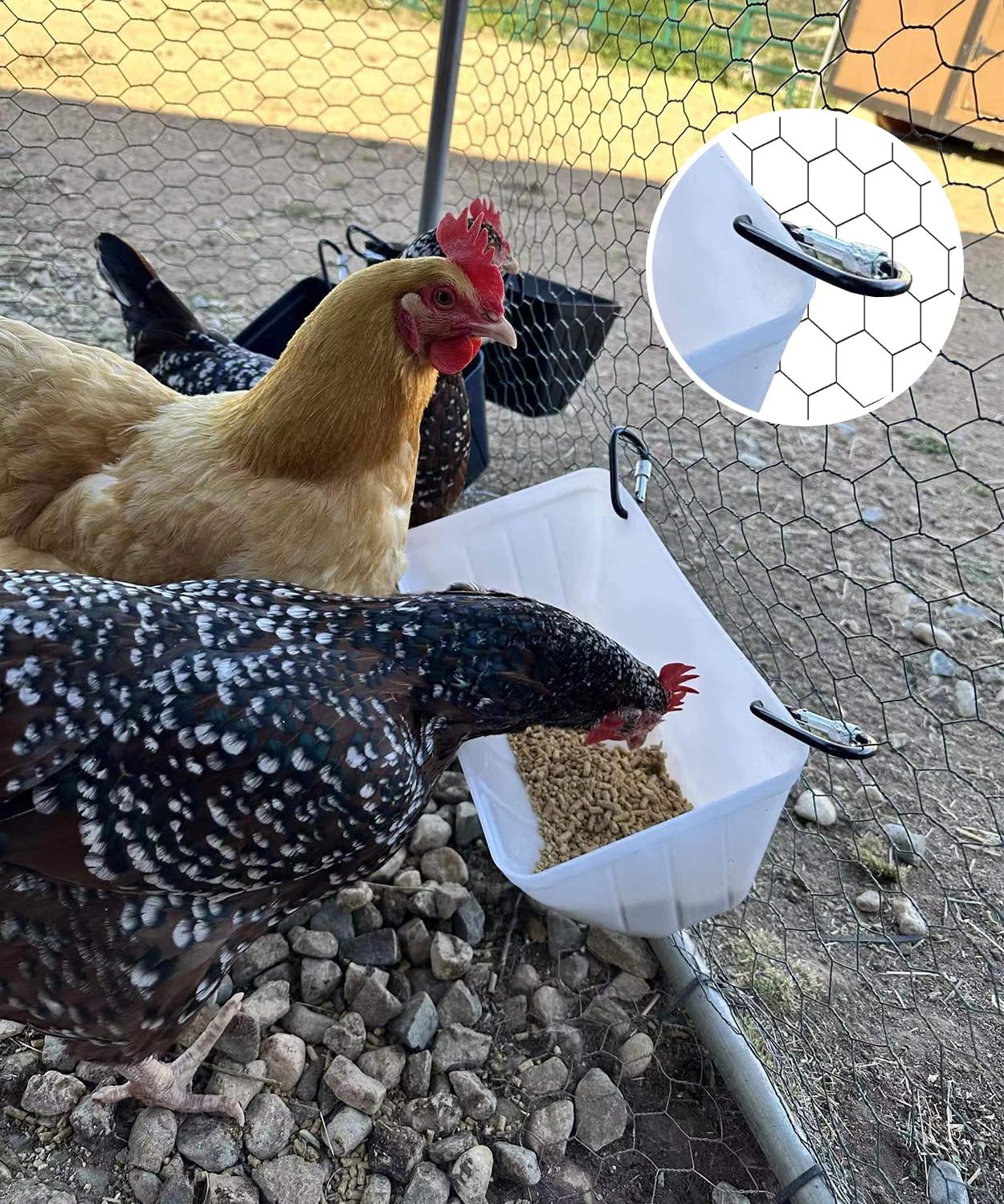 Chicken Feeders, 3 Pack, Duck Feeders and Waterers, Hanging Poultry Water Feeder, Livestock Fence Feeder, Feed Trough and Waterer Bucket with Clips, Blue