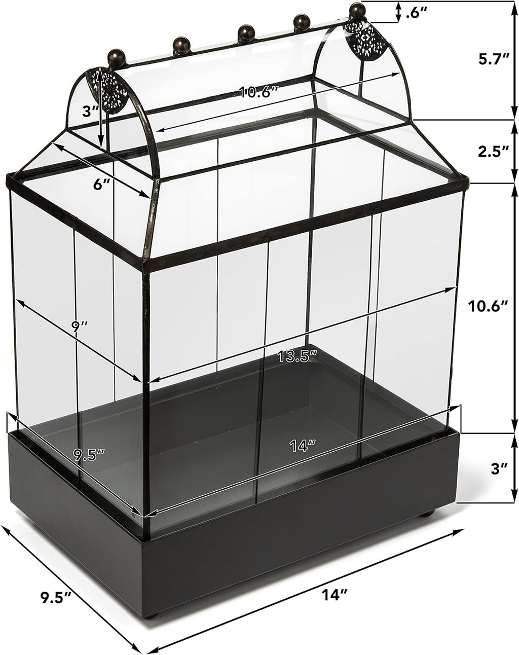 H Potter Glass Terrarium Succulent Planter Wardian Case Container for Plants WAR105