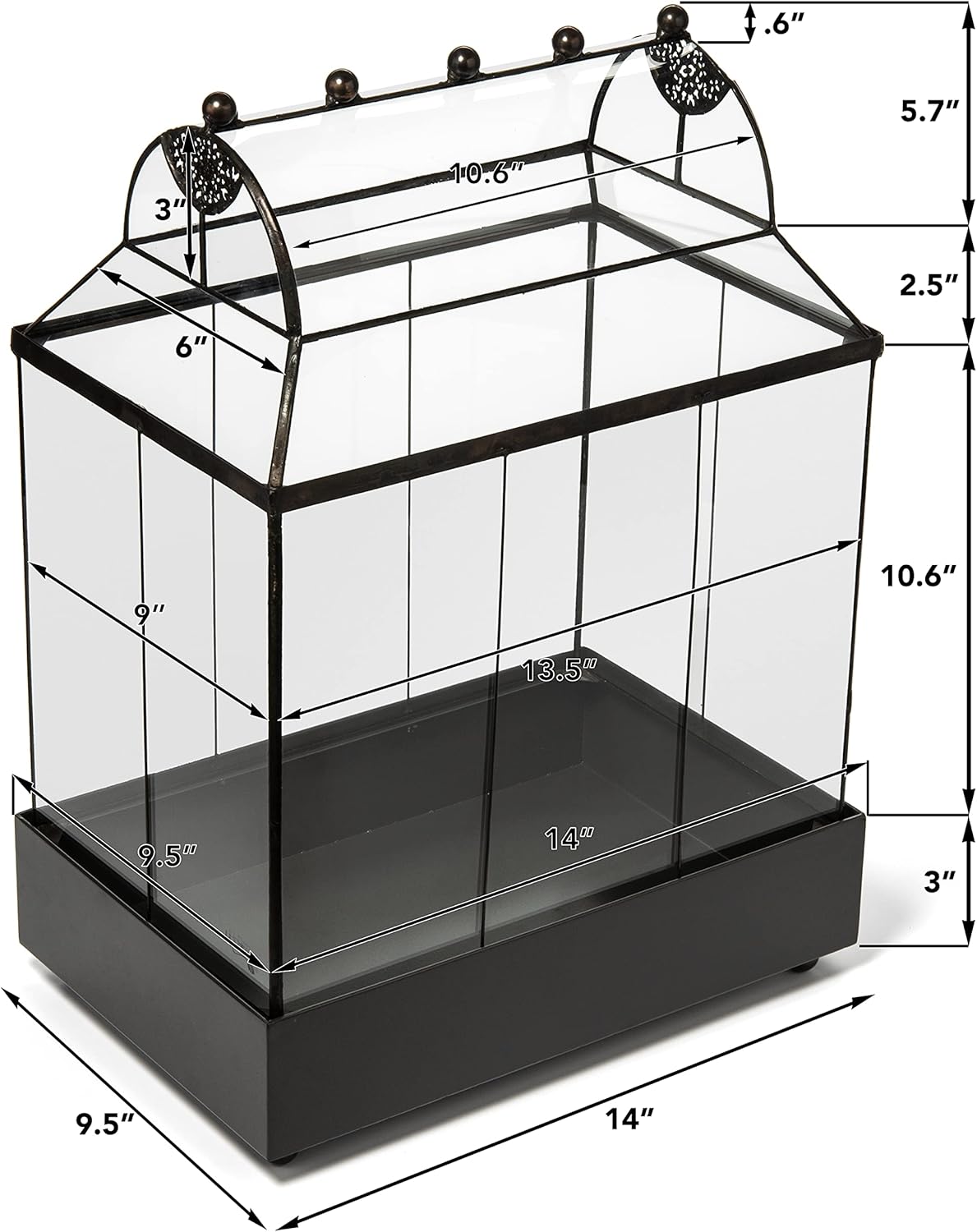 H Potter Glass Terrarium Succulent Planter Wardian Case Container for Plants WAR105