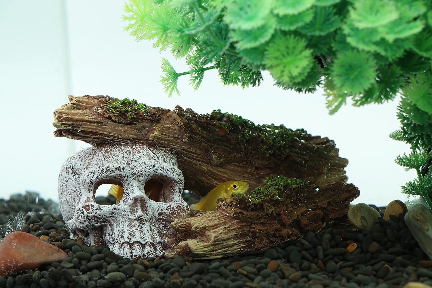AQUA KT Aquarium Landscape Skeleton Head Skull with Tree Branch for Betta Cichlid Fish Hiding Rock Aquatic Decoration