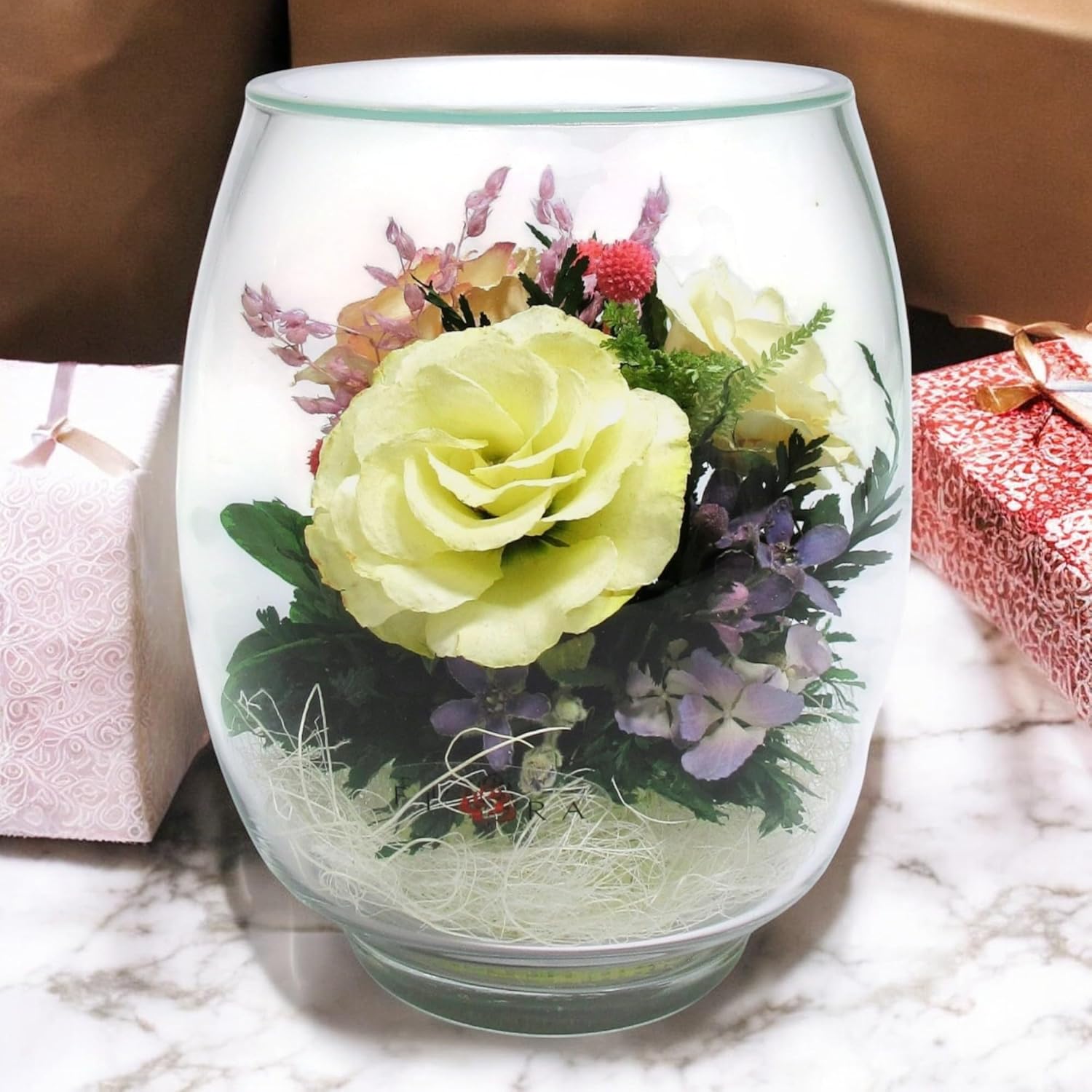 Fiora Flower | Preserved Roses & Floral Arrangement in Sealed Glass Vase | Lasts up to 5 Years | Elegant Gift for Weddings, Birthdays, and Anniversaries (Ivory)