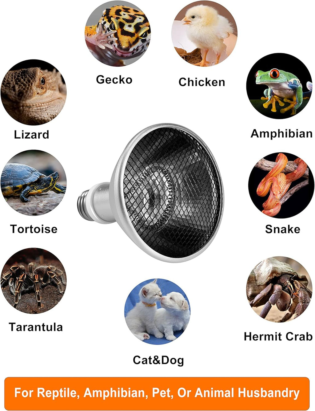 Deep Heat Projector - DHP 100W Infrared Reptile Heat Lamp Bulbs for Turtle Light Bearded Dragon Chicken Lizard Leopard Gecko Snake