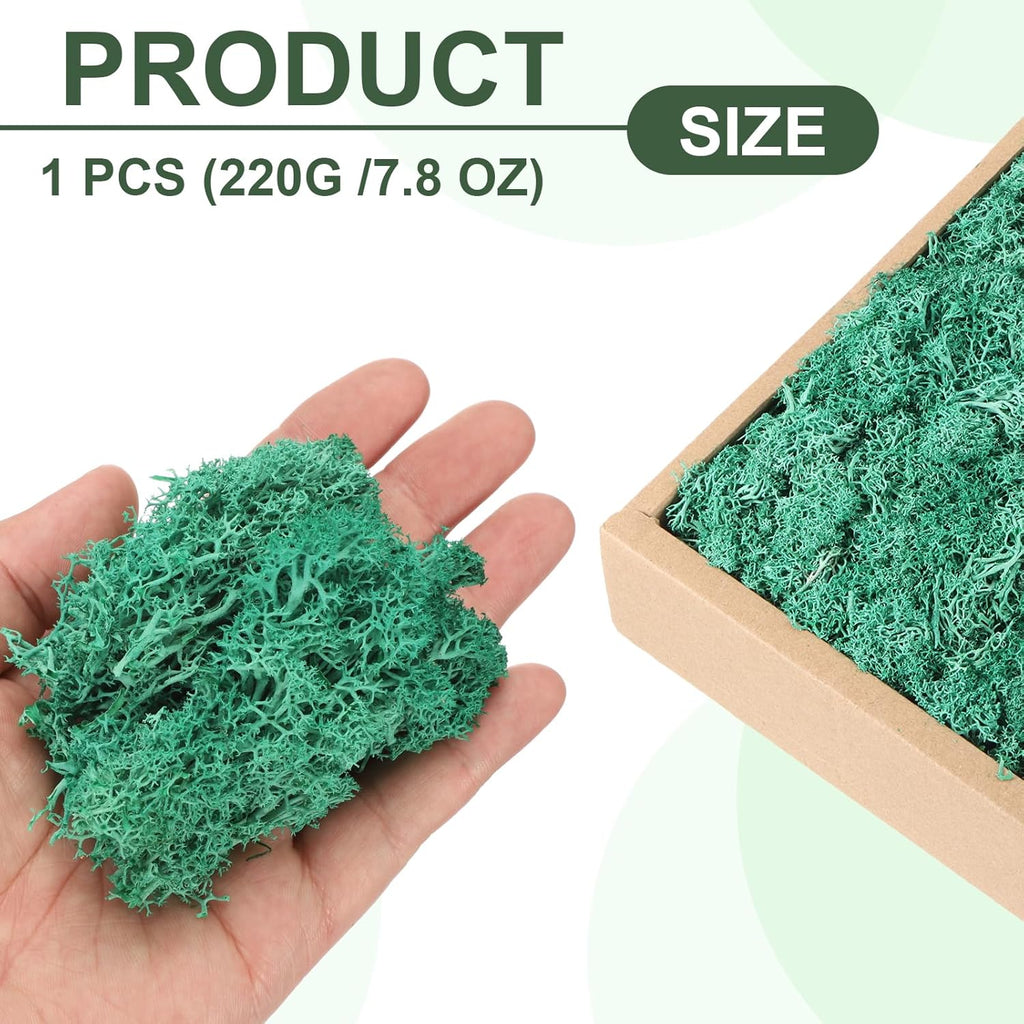 MECCANIXITY 7.8oz Preserved Reindeer Moss, Cyan Decorative Artificial Fake Moss for Potted Plants Indoor Crafts Lichen Centerpieces Decor