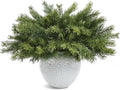 Artgar 24 Pcs Christmas Pine Branches - 18" Realistic Artificial Greenery Pine Stems - Real Touch Faux Cedar Picks for Vase, DIY Garland Wreath Home Indoor Outdoor Xmas Decorations