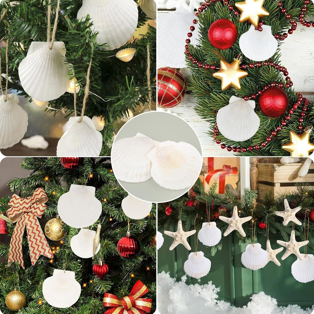 18PCS White Large Scallop Purely Natural Seashells 4-5in and Medium Shells 2-3in for Crafting, Scallop Shells Bulk for Beach Wedding Decorations, Ocean Seashell Party Decorations, Cooking or Painting