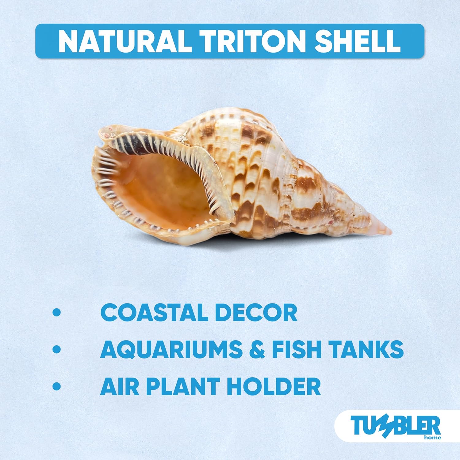Tumbler Home Large Conch Sea Shells for Decorating or Fish Tank, Coastal & Nautical Decor, Air Plant Holder, Aquarium Ornaments, Big Sea Shell, Decorative Seashells, Beach Party Decor (Triton)