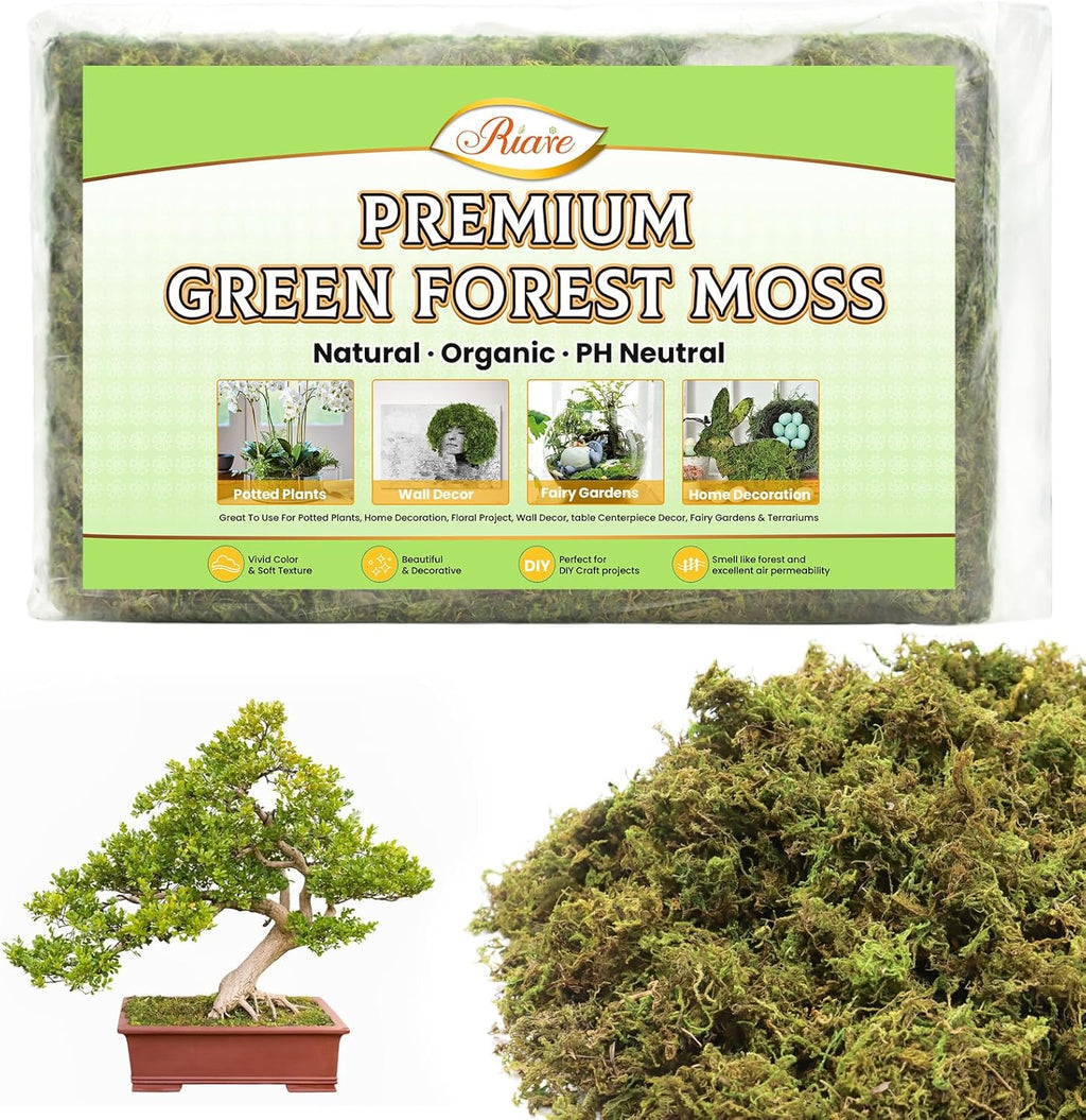 Riare 7OZ Artificial Fake Moss for Fake Plants Indoor- Premium Faux Craft Moss for Potted Plant, Fresh Forest Green for Hamsters Micro-Landscape Terrariums Centerpieces Decor