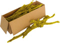 SuperMoss (23545 Branched Lichen Parmelia – Natural Preserved Lichen Branches for Floral Arrangements, Home Decor, and Terrariums, 1,560 cu. in., Yellow