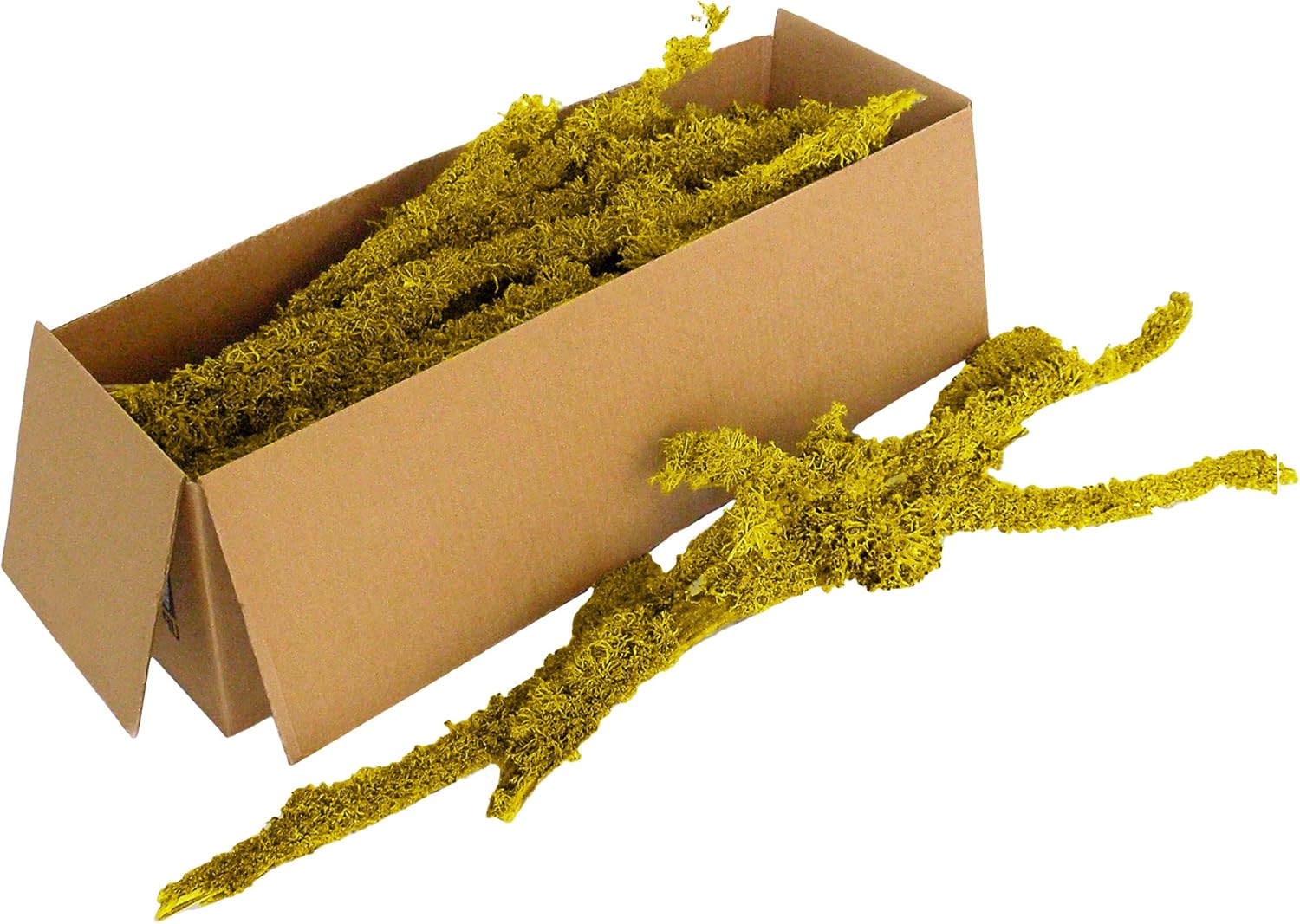 SuperMoss (23545 Branched Lichen Parmelia – Natural Preserved Lichen Branches for Floral Arrangements, Home Decor, and Terrariums, 1,560 cu. in., Yellow