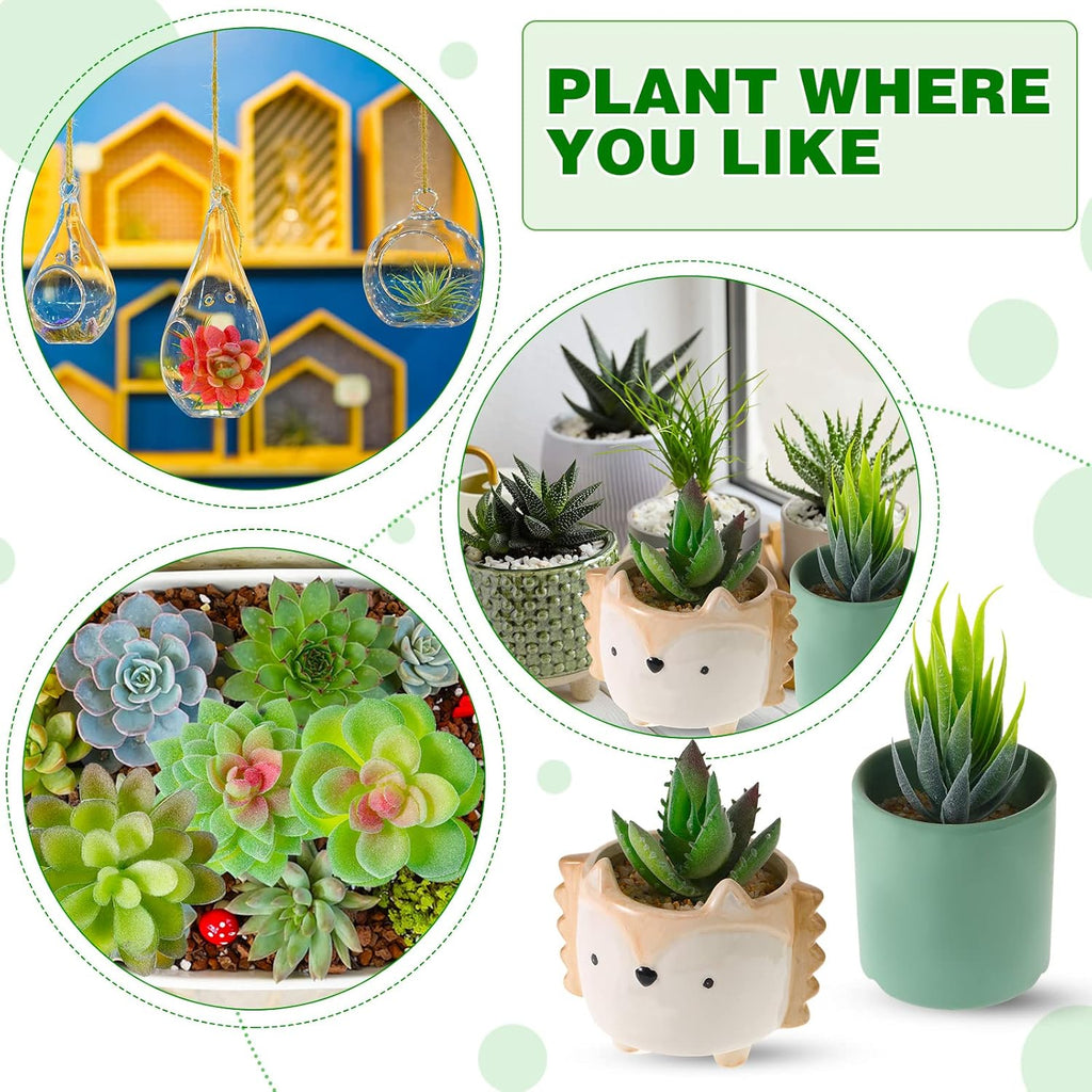 WILLBOND 38 Pcs Christmas Mini Artificial Succulents Small Fake Succulent Plants Faux Assorted Unpotted Realistic Plastic Flowers Picks Stem for DIY Crafting Greenery Garden Home Decor(Flocked)