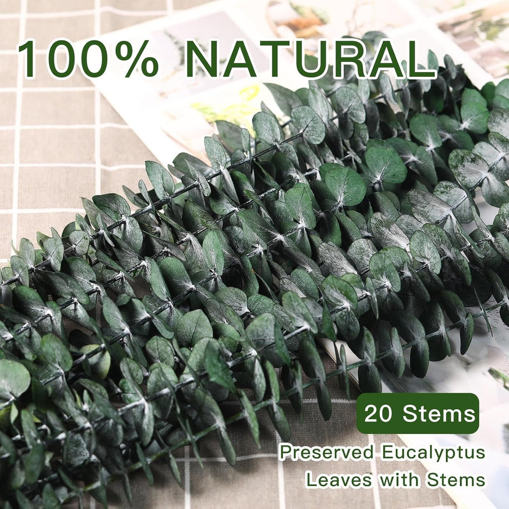 20 Pcs Dried Eucalyptus Stems, 17'' Natural Real Live Greenery Eucalyptus Leaves Branches Hanging Shower, Preserved Dried Plants for SPA Home Fragrance Bathroom Table Vase Decor
