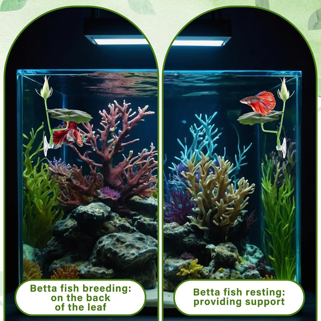3 Pcs Betta Fish Bed Betta Leaf Hammock Suction Cup Tank Decor Fish Toys Leaf Pad Leaves Tank Accessories Simulates Natural Habitat Comfortable Rest Area