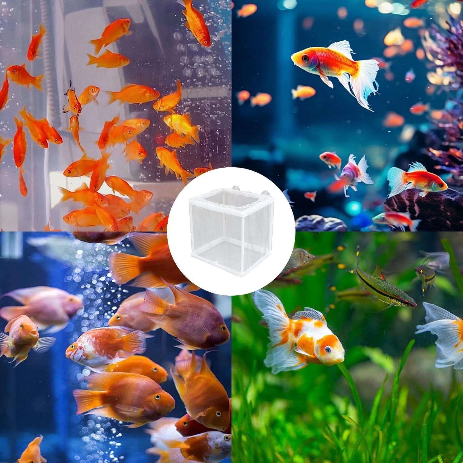 Fish Breeder Box - Fish Isolation Box Mesh Box, Aquarium Breeder Box, Fish Fry Hatchery, Juvenile Separation Net with Suction Cups, Nursery for Guppy Shrimp