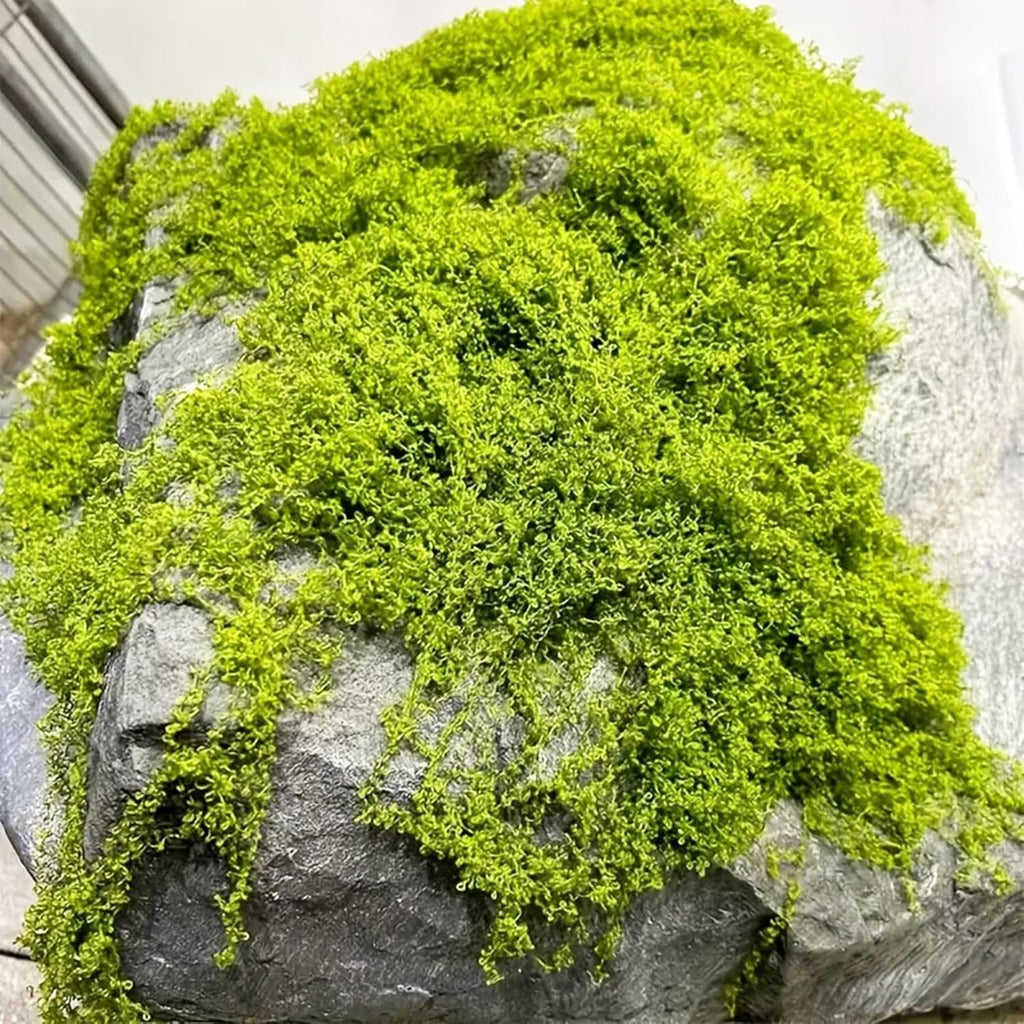 Artificial Moss 17.63oz – Fake Green Moss for Crafts, Potted Plants, Fairy Garden Decor, DIY Table Centerpieces, Wedding Party Decoration