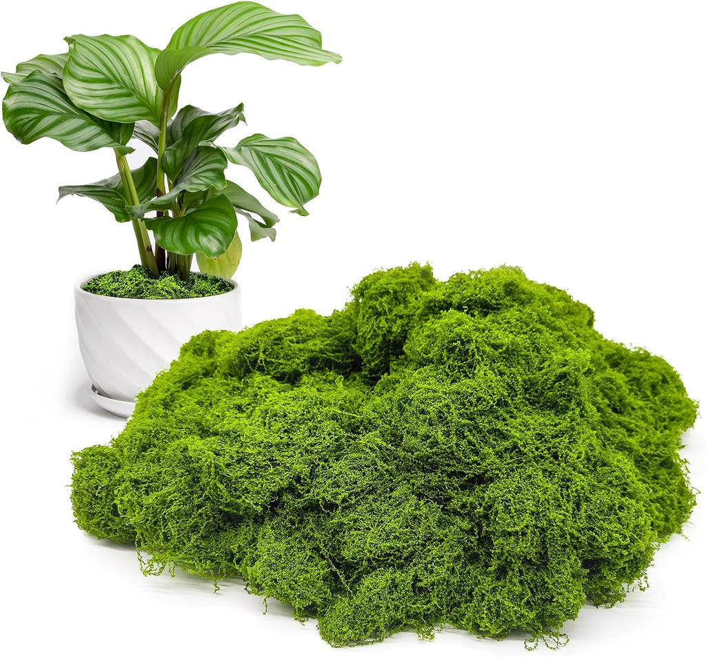 Fake Green Moss for Potted Plants Indoor, 5.3oz Artificial Moss for Crafts, Faux Moss Decor for Fairy Garden, DIY Decorative, Model Making, Walls, Glass Containers, Home