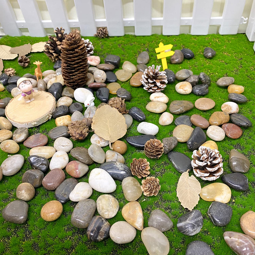 2 lbs Pebbles for Plants, 1-2 inch Polished River Rocks for Plants Indoor Aquarium Terrarium, Stones for Planters Vase Landscaping and Outdoor Yard Decorative Stones
