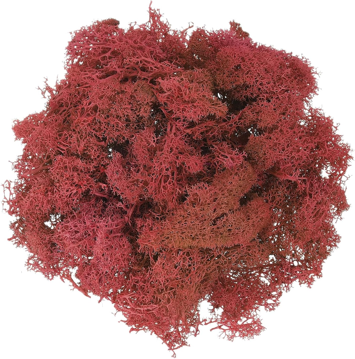 uxcell Preserved Reindeer Moss, 17.6oz Fake Moss for Crafts Artificial Dried Moss for Decoration Terrariums Potted Plants, Dark Red