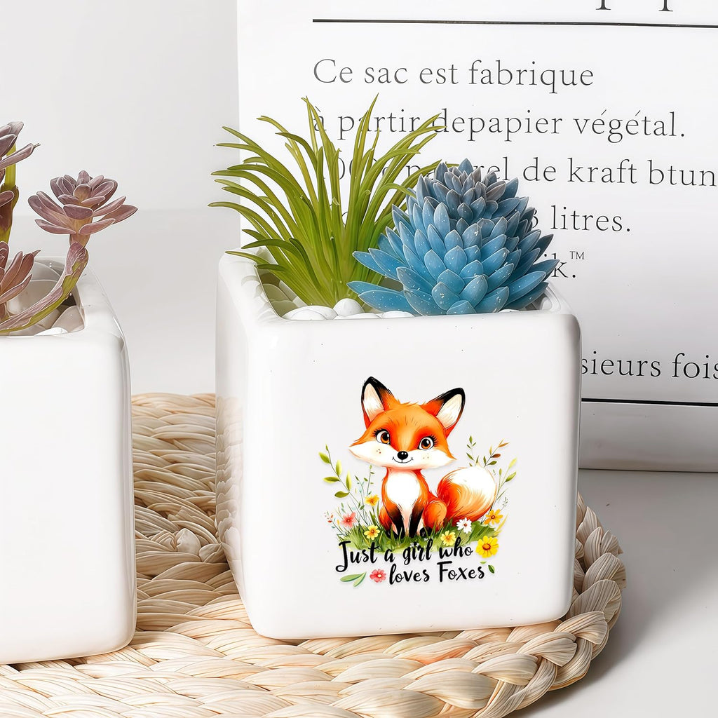 Fox Succulent Planter Flower Plant Pot Small, Gifts for Women Teens Girls Kids, Fox Lovers Themed Stuff Accessories Things Decor Merch, Home Office Table Desk Decoration!