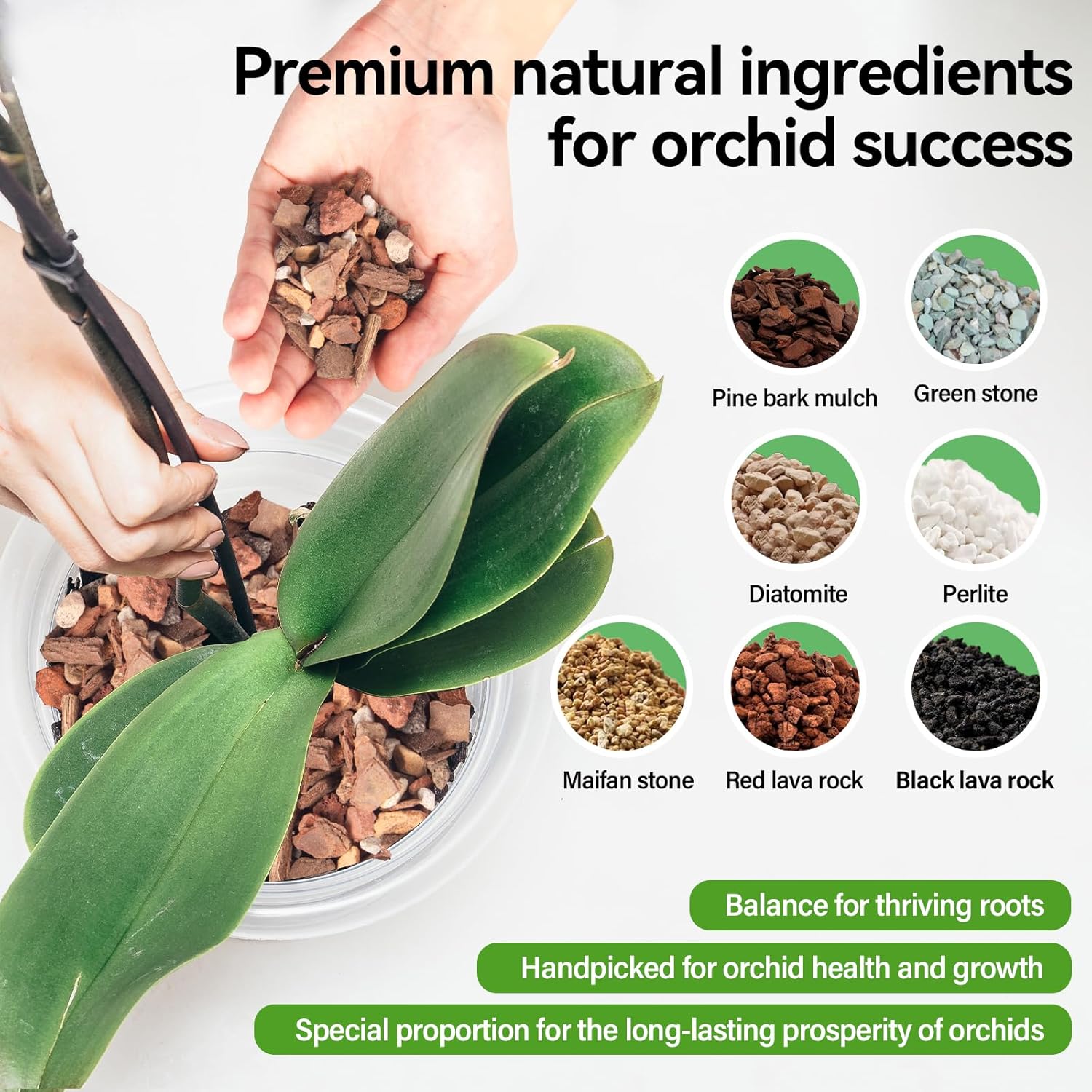 Orchid Bark Potting Mix with Pine Bark and Perlite, Fast Draining Orchid Soil for Healthy Roots, Ideal for Repotting Orchid and Orchid Bark for Indoor Plants (1 Quart)