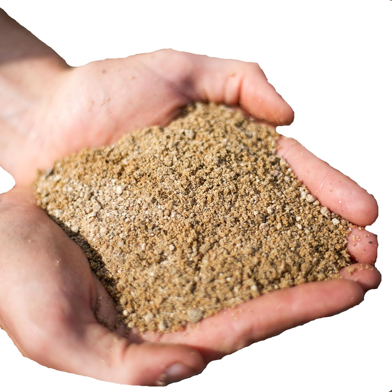 Coarse Horticultural Sand — Washed Natural Sand for Succulents, Cactus, Bonsai & Propagation (Course Sand, 1 Quart)