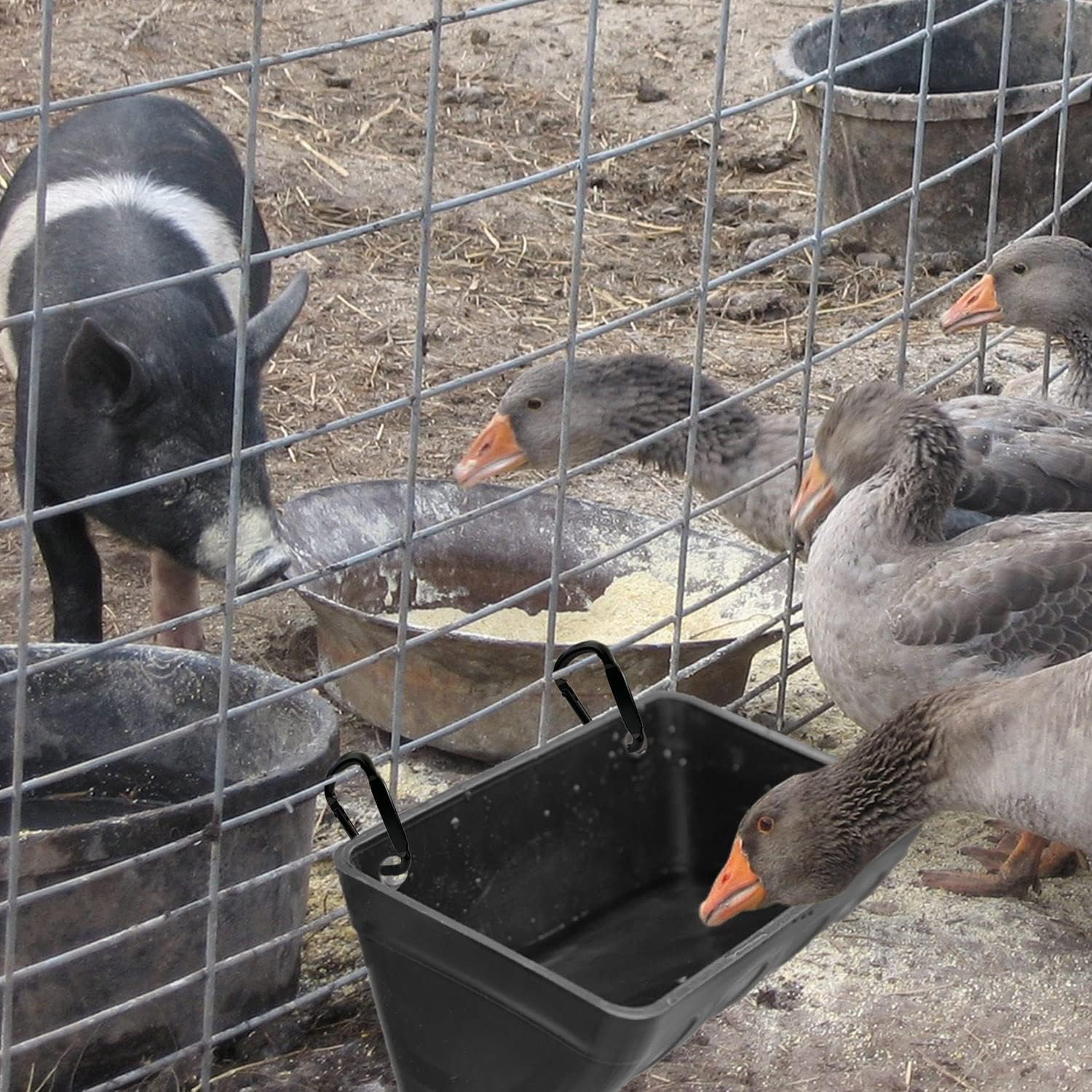 Fence Hanging Chicken Feeder for Duck, Piglets, Goat Feeder Poultry Feeding Container for Livestock Feed Trough Water Bucket(4)