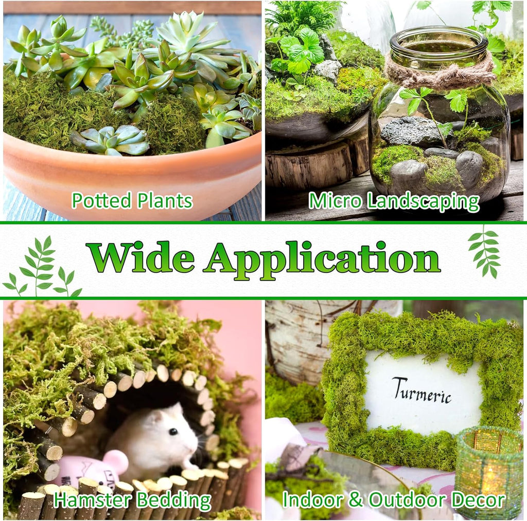 Riare 7OZ Artificial Fake Moss for Fake Plants Indoor- Premium Faux Craft Moss for Potted Plant, Fresh Forest Green for Hamsters Micro-Landscape Terrariums Centerpieces Decor