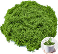 Fake Green Moss for Crafts 3.5 Oz Decorative Artificial Moss for Crafts Decorative Faux Moss Table Centerpieces Wedding Party Decor Fairy Garden Floral DIY