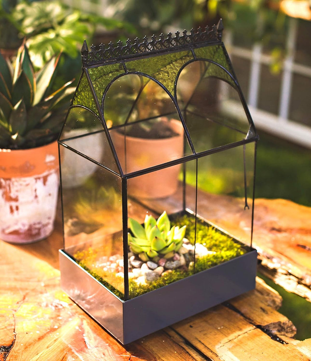 H Potter Glass Plant Terrarium Wardian Case Succulent Planter Container War158