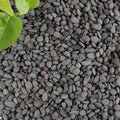 Black Rock, CJGQ 18lb River Rocks Pebbles for Plants Succulents, Decorative Outdoor Landscaping Garden Rocks, Natural Small Mexican Beach Pebbles Aquarium Rocks Gravel for Fish Tanks Vase Yard Decor