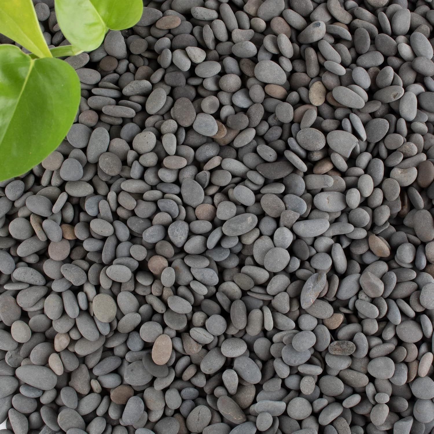 Black Rock, CJGQ 18lb River Rocks Pebbles for Plants Succulents, Decorative Outdoor Landscaping Garden Rocks, Natural Small Mexican Beach Pebbles Aquarium Rocks Gravel for Fish Tanks Vase Yard Decor