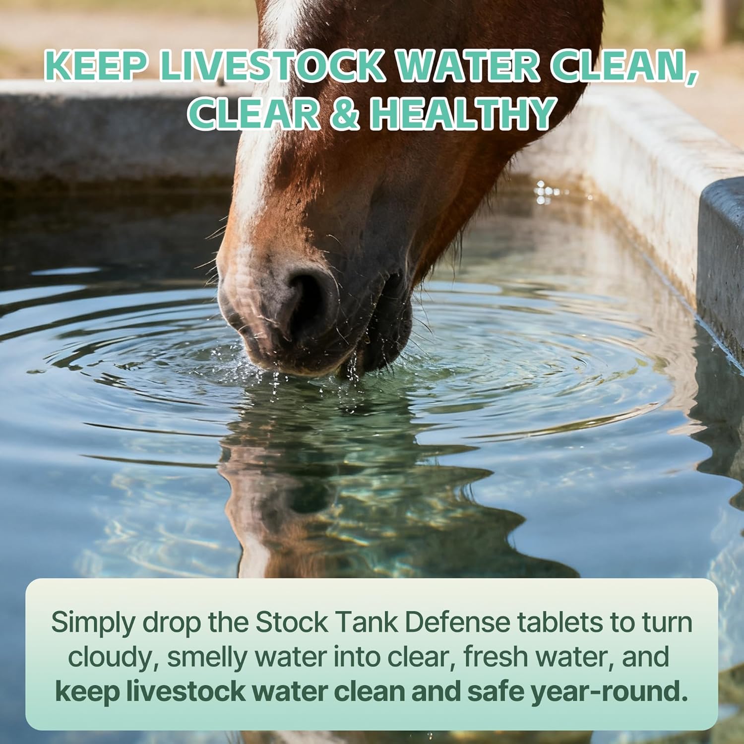 Stock Tank Defense Tablets–Stock Tank Clarifier for Livestock Water Troughs–Dissolves Sludge, Cleans Drinking Tanks, Improves Water Quality–Safe & Easy for Horses, Cattle, Goats & Chickens, 300Count