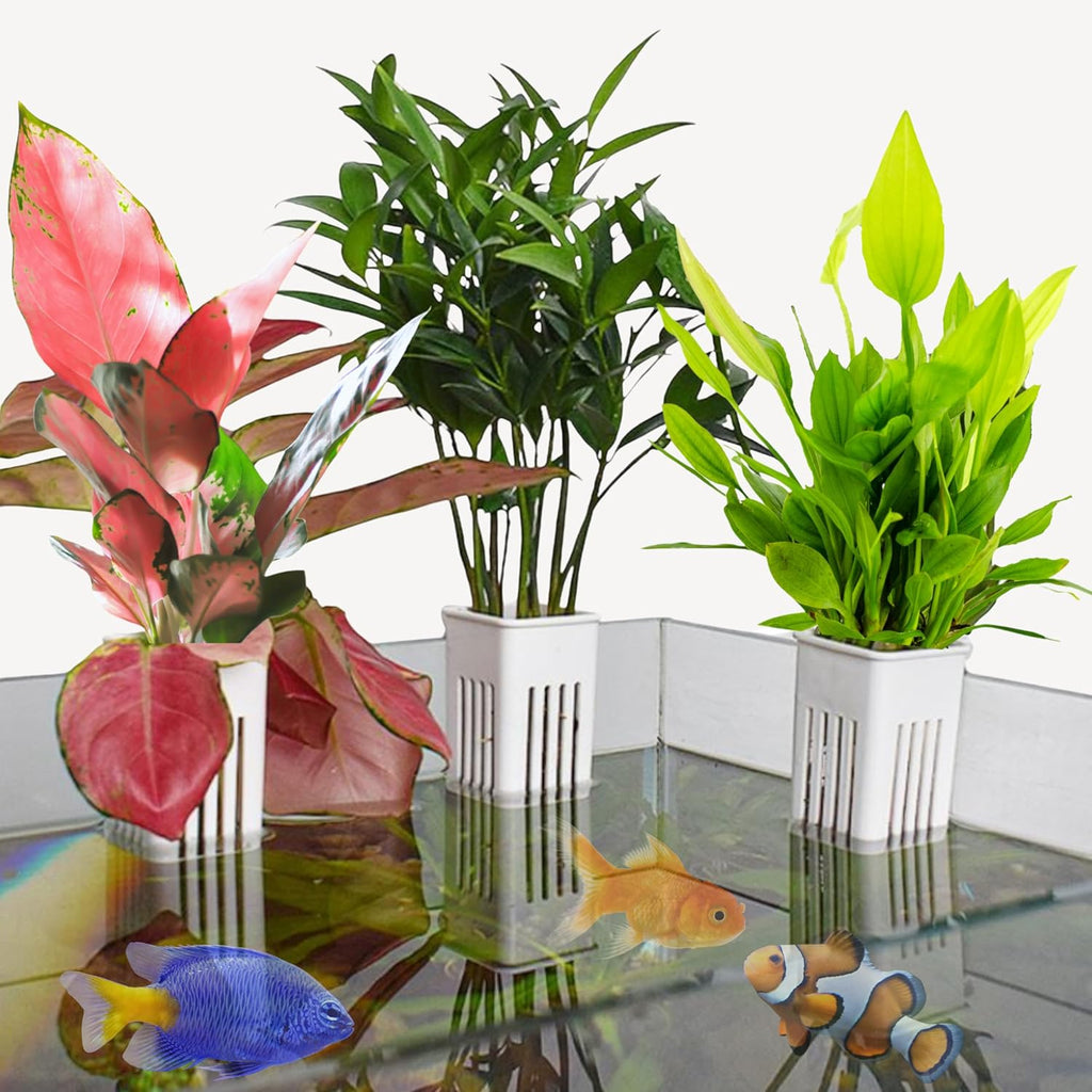 2pcs Aquarium Plant Holder, Fish Tank Plant Holders, Hanging Aquatic Planted Pot Planter Pot, Aquatic Tanks Grass Holders Hydroponic Plants Cups, Aquaponic Basket, Fish Tank Decorations (Basket White)
