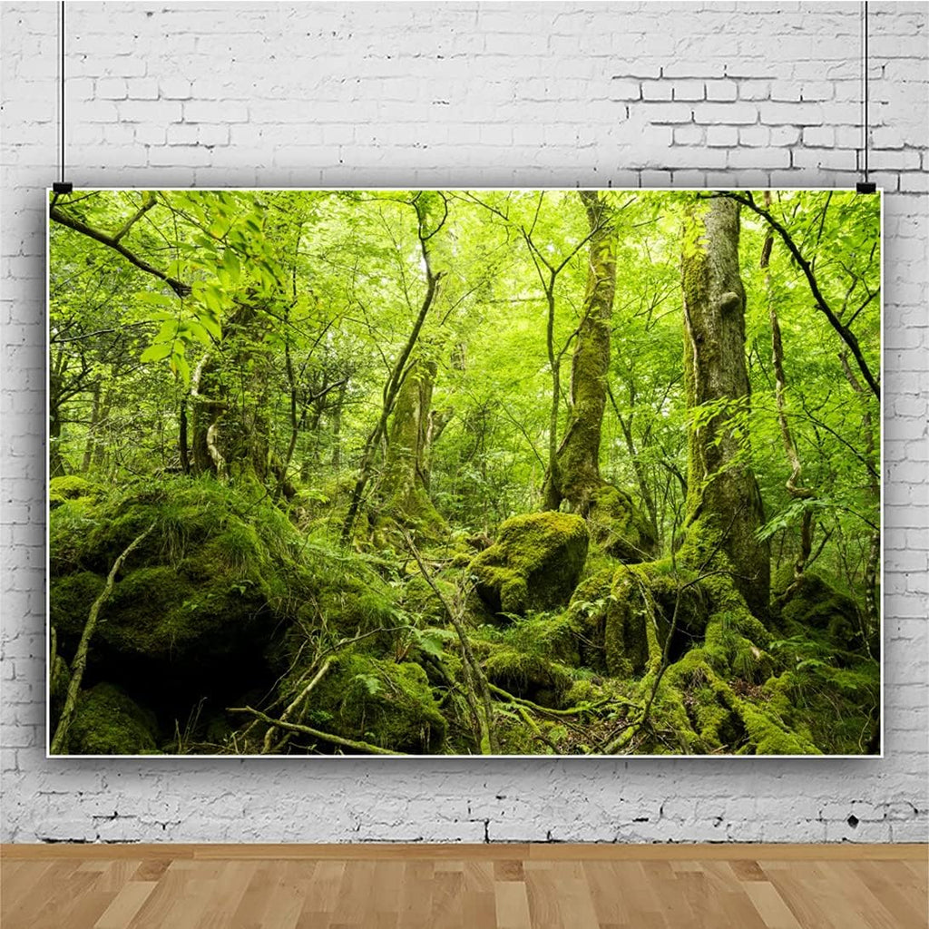 OERJU 7x5ft Peaceful Natural Scenery Backdrop Evergreen Forest Rustic Landscape Sunshine Tree Photography Background Kids Birthday Party Banner Adventure Theme Polyester Studio Props Portrait Photo