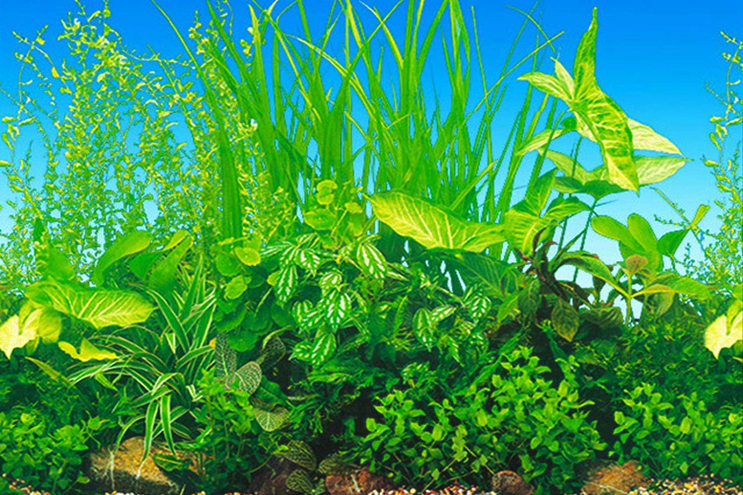 ELEBOX New 20" x 48" Fish Tank Background Paper Wallpaper 2 Sided Colorful Seaweed Water Plants Aquarium Background Picture