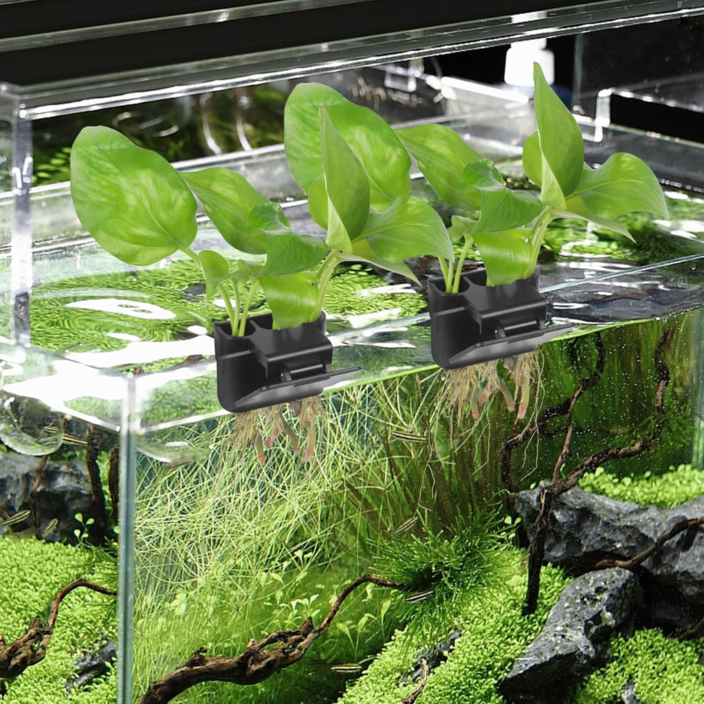 3 Holes Upgraded Aquatic Plant Cup Aquarium Plant Holder for Tank,Aquascape Accessories Decorations- Black 2 Pcs