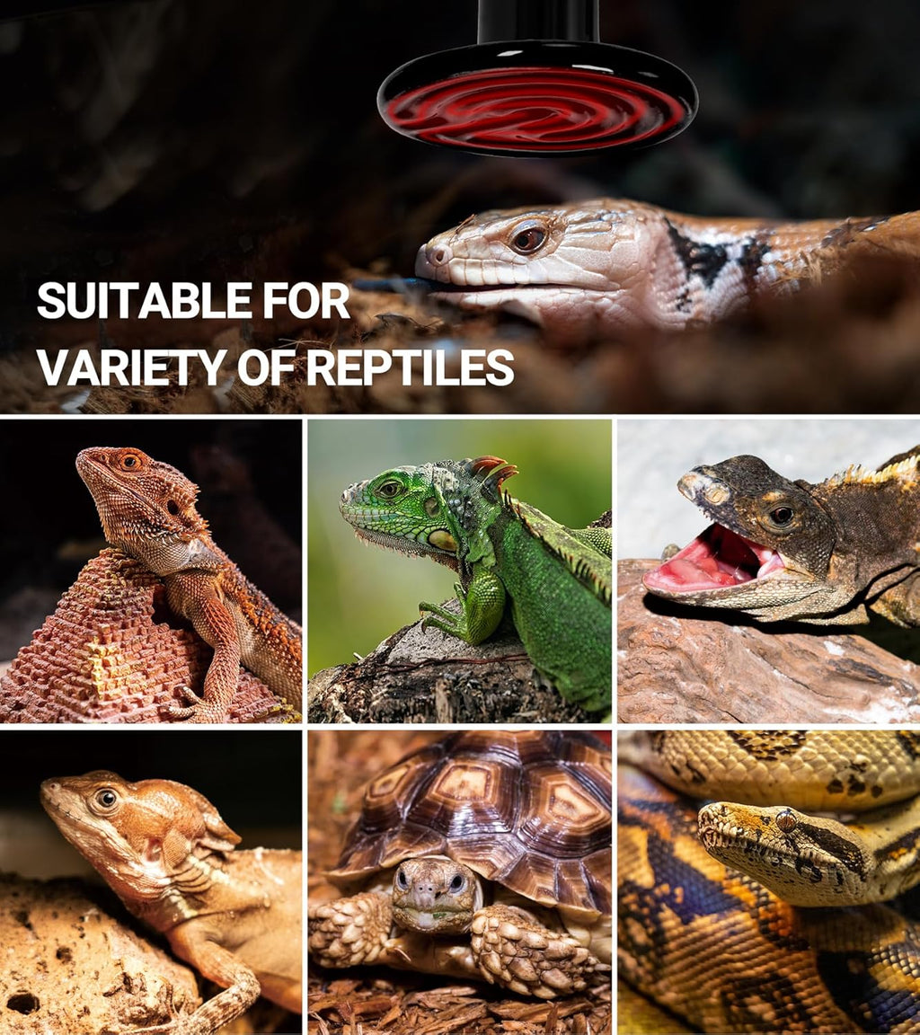 REPTI ZOO 2Pack Ceramic Heat Emitter 60W Reptile Heat Lamp Night Heat Lamp Bulbs Reptile Terrarium Heat lamp Tank Heat Bulb for Turtle Bearded Dragon Gecko Lizard Snake Chicken E26