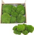 Preserved Pillow Moss Bulk Green Moss Balls for Bowls Waterproof 1.08 sq.ft Natural Green Decorative Preserved Pole Moss Pillow for Wall Art Terrariums Crafts Fairy Gardens Pot Plants Easter