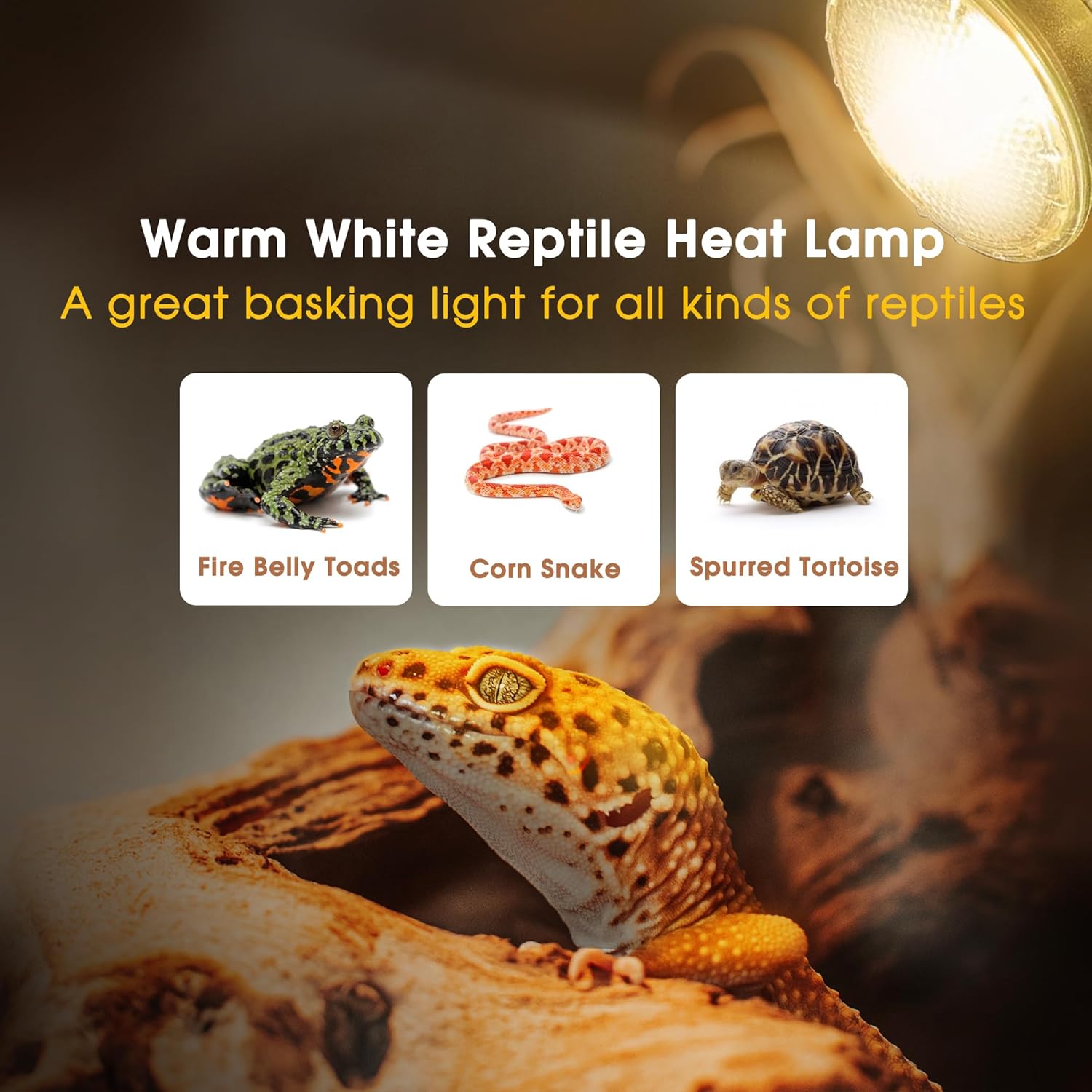 Briignite Reptile Heat Bulb 2 Pack, 75W UVA Reptile Light Bulbs, Dimmable Heat Lamp Bulbs Basking Spot Light Bulb for Reptiles, Amphibian, Bearded Dragon, Lizard, Chicken