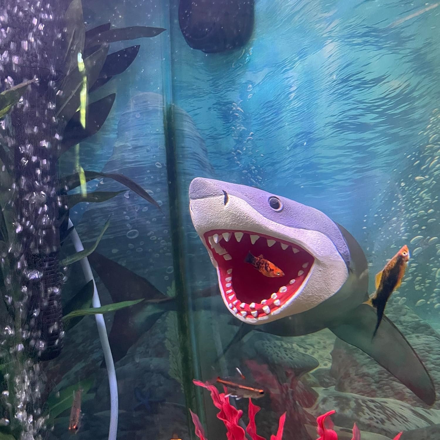 Aquarium Decor Magnetic Great White Shark Ornament – Wall-Mounted Fish Tank Accessory