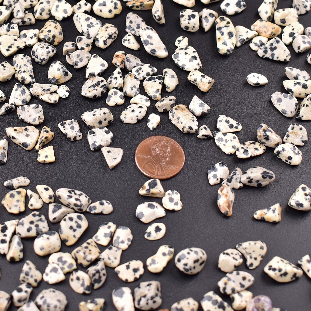 Polished Dalmatian Jasper Crystal Chips 200 Pcs - 0.3" 10 oz Tumbled Stone Chips Crushed Sea Glass Stones Healing Reiki Crystal Making Home Decoration