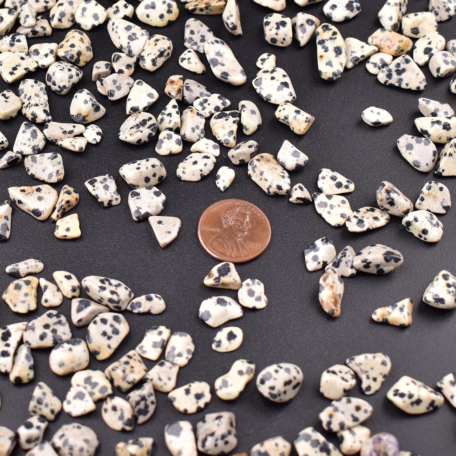 Polished Dalmatian Jasper Crystal Chips 200 Pcs - 0.3" 10 oz Tumbled Stone Chips Crushed Sea Glass Stones Healing Reiki Crystal Making Home Decoration