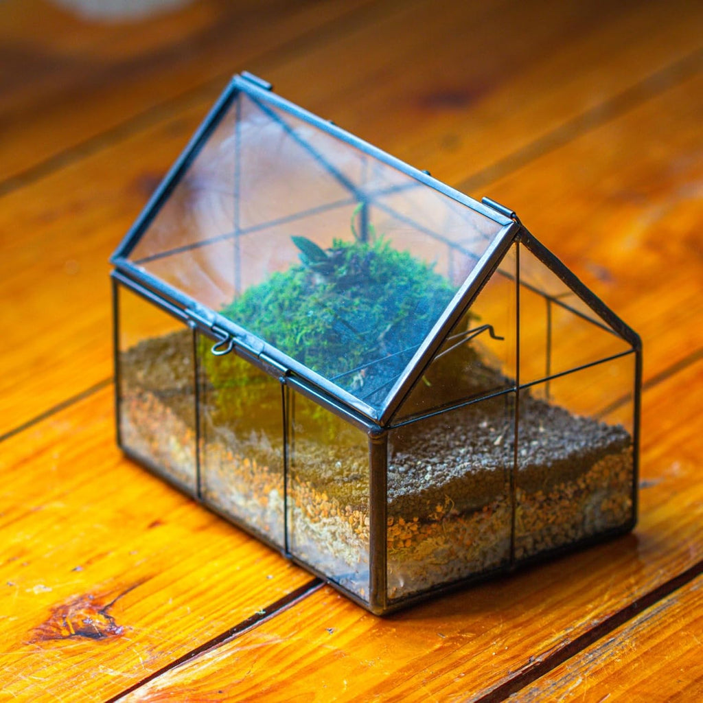 NCYP Mini Glass Terrarium with Lid - 6.1" x 4.25" x 4.92" House Shape Closed Planter Pot for Small Cactus, Succulents Plant - Home Garden Office Tabletop Geometric Decor, Black (Terrarium Only)