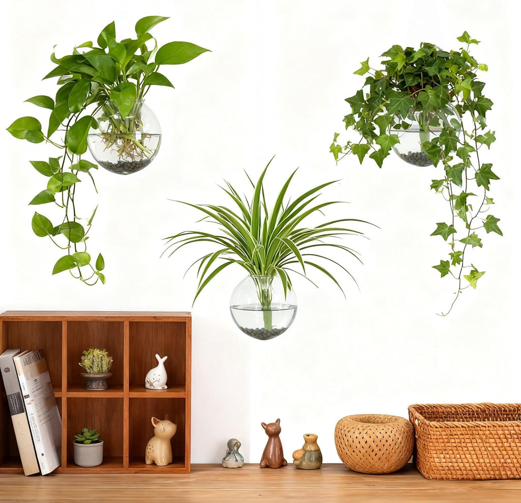 4 pcs Glass Wall Hanging Planter, Oval Terrarium Vase, Propagation Station for Hydroponics, Indoor Plants, Home Office Decor (Large)