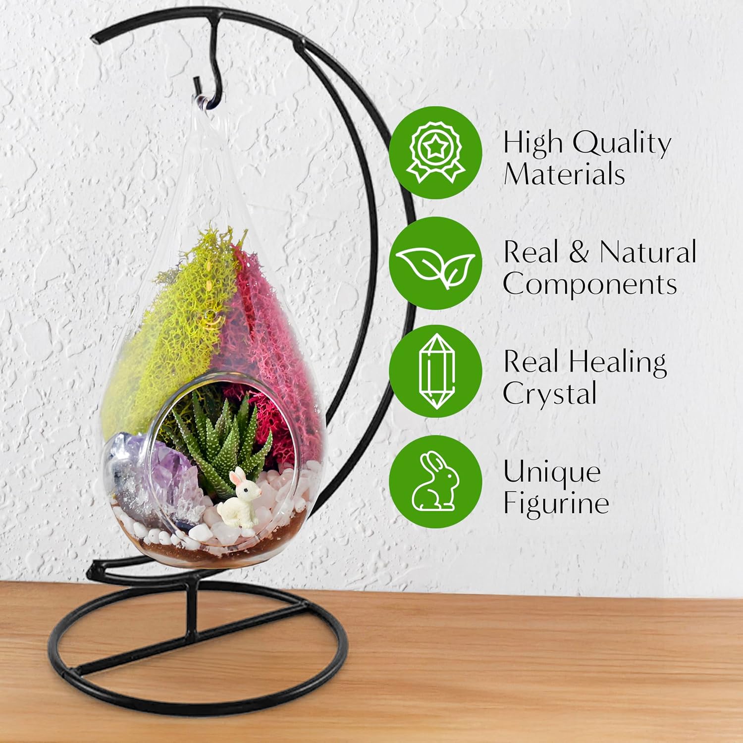 Plant Terrarium Kit W/Live Succulent (Fresh from Florida), Choose Your Glass DIY Terrarium Starter Kit for Adults, Metal Stand, Reindeer Moss, Crystal & Rocks, Tools, Figurine
