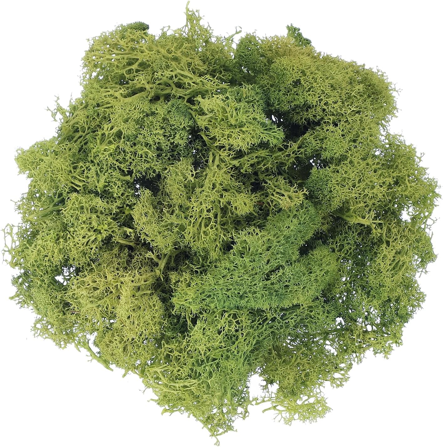 uxcell Preserved Reindeer Moss, 17.6oz Fake Moss for Crafts Artificial Dried Moss for Decoration Terrariums Potted Plants, Dark Green