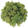 uxcell Preserved Reindeer Moss, 7oz Fake Moss for Crafts Artificial Dried Moss for Decoration Terrariums Potted Plants, Dark Green