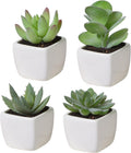 MyGift Set of 4 Mini Assorted Green Decorative Artificial Succulent Plants in Square White Glazed Ceramic Planter Pots